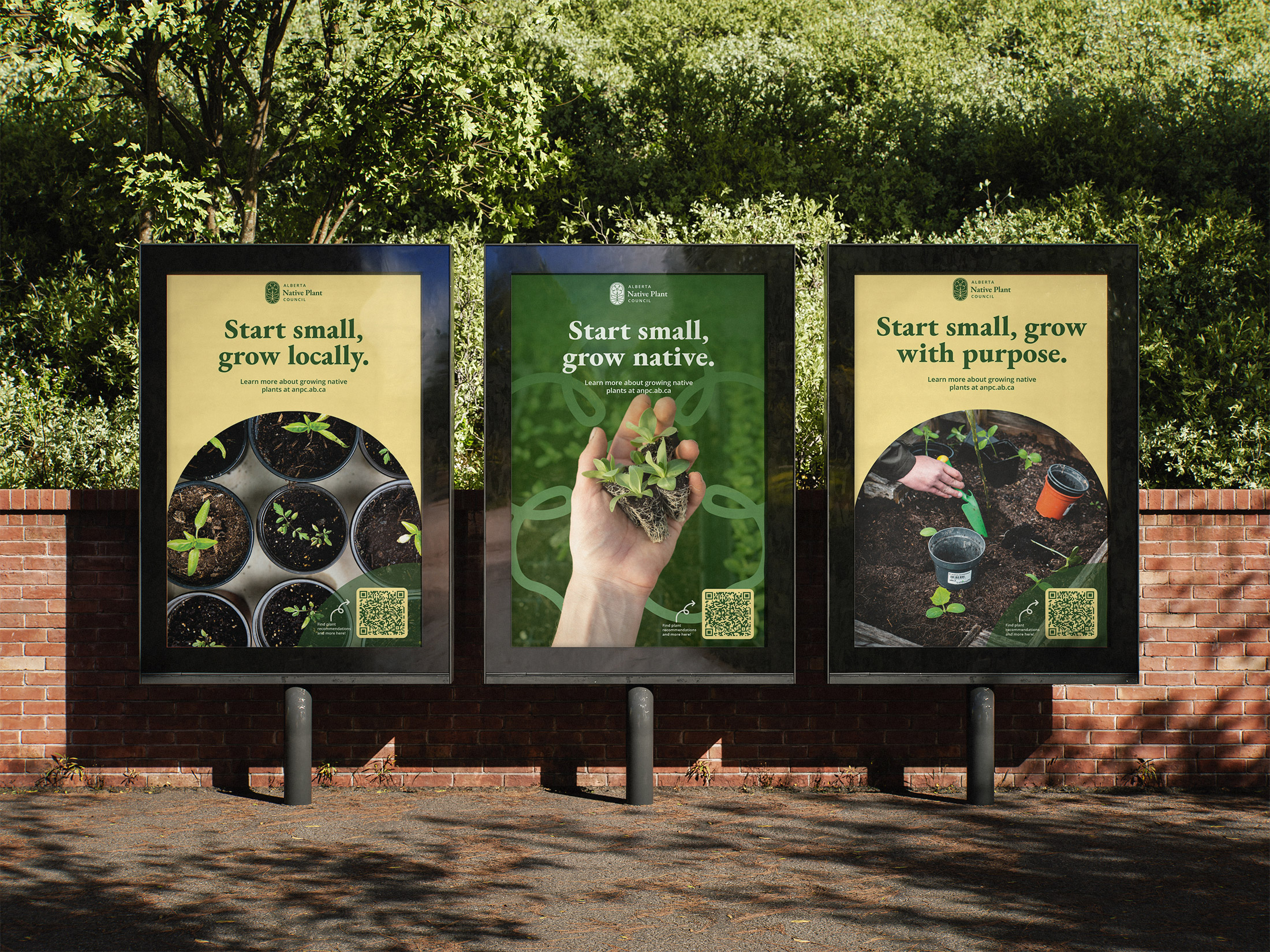 Rooted in Alberta: Enhancing Brand Visibility & Student Engagement for ANPC