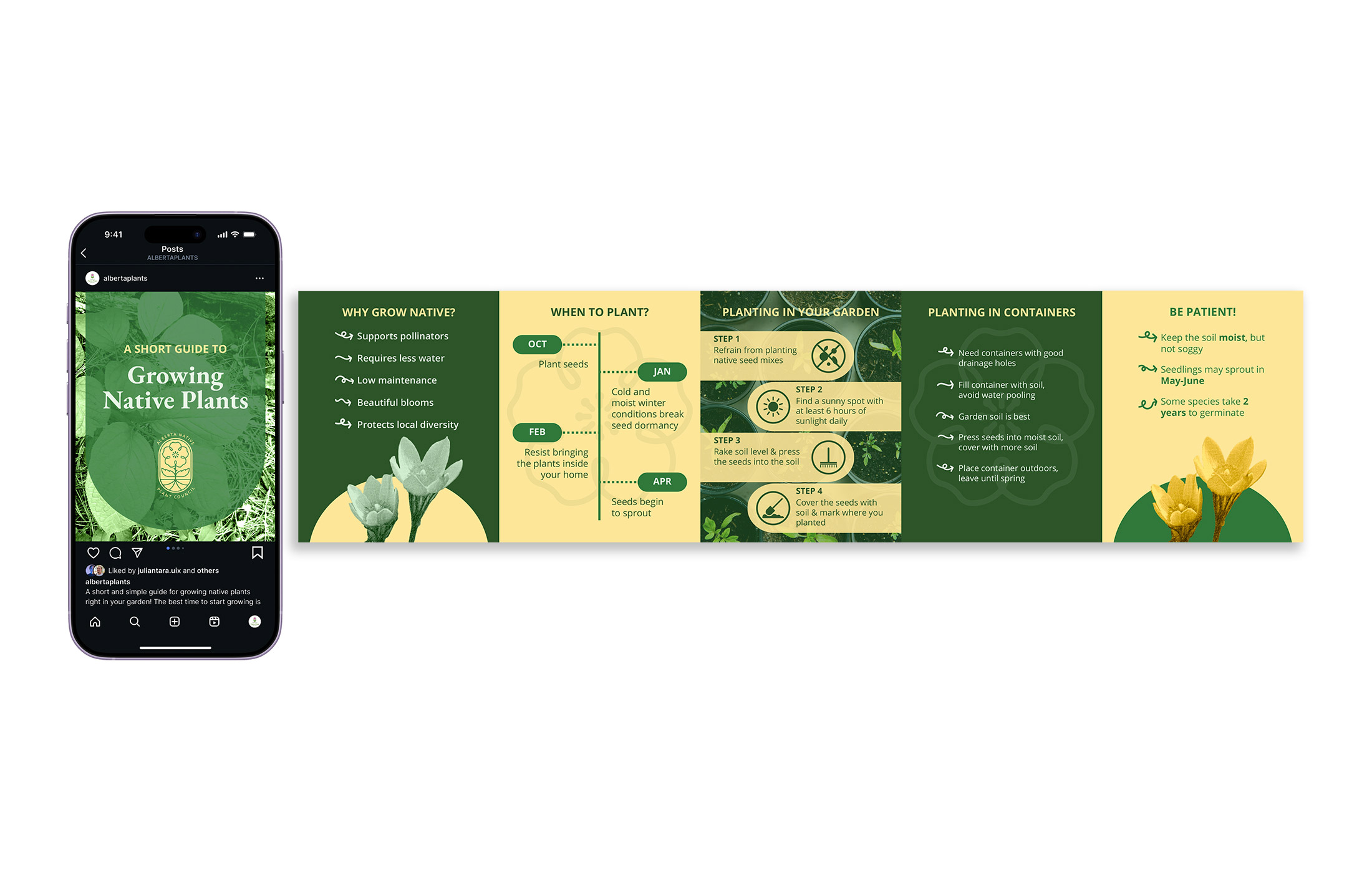 Collins Meagan Capstone Image05 Web