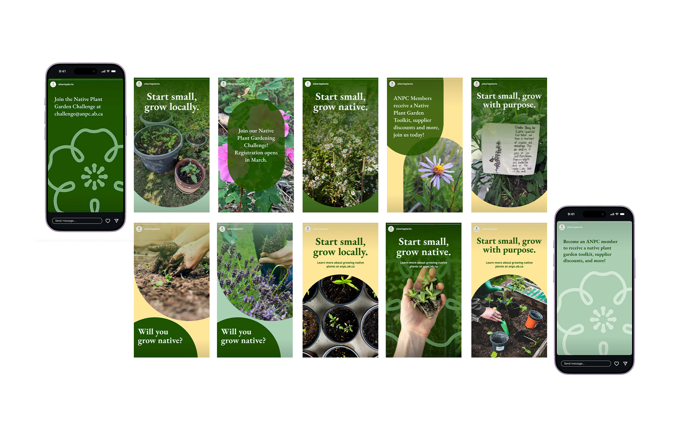 Collins Meagan Capstone Image06 Web