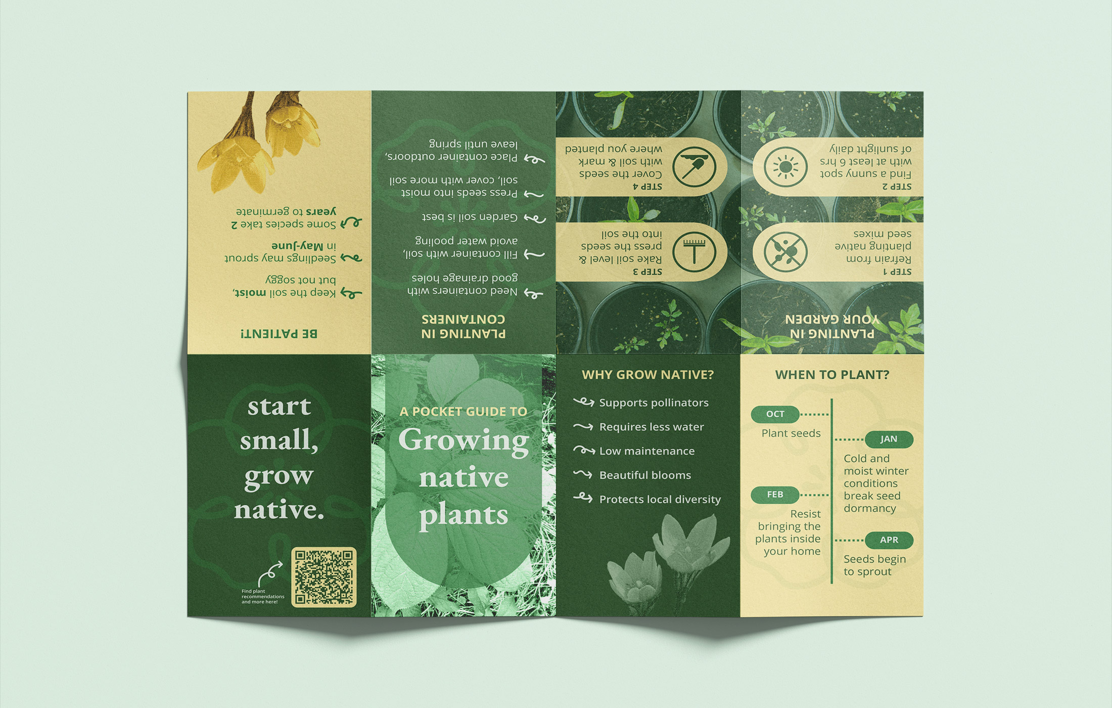 Collins Meagan Capstone Image07 Web