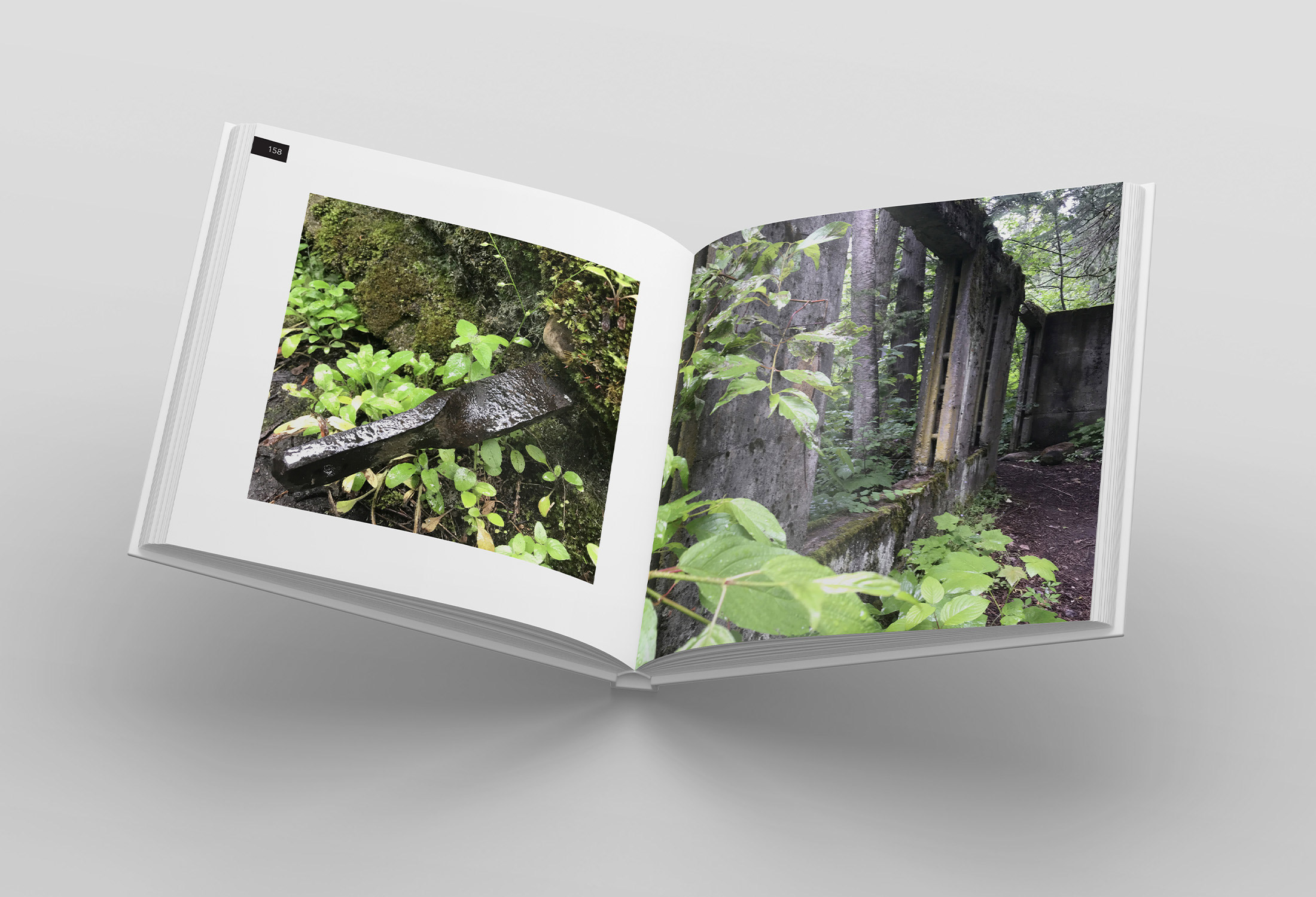 May Jess Capstone Image 04