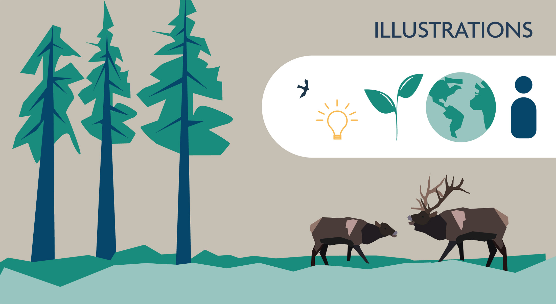 Myschuk Morgan Capstone Image 03 Web