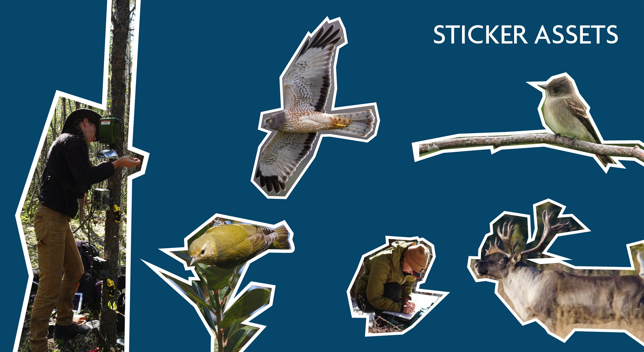 Myschuk Morgan Capstone Image 04 Web