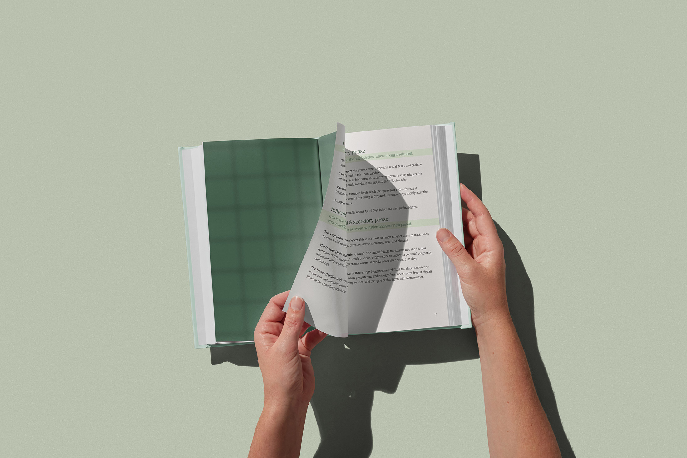 Yesil Ayse Capstone Image 04